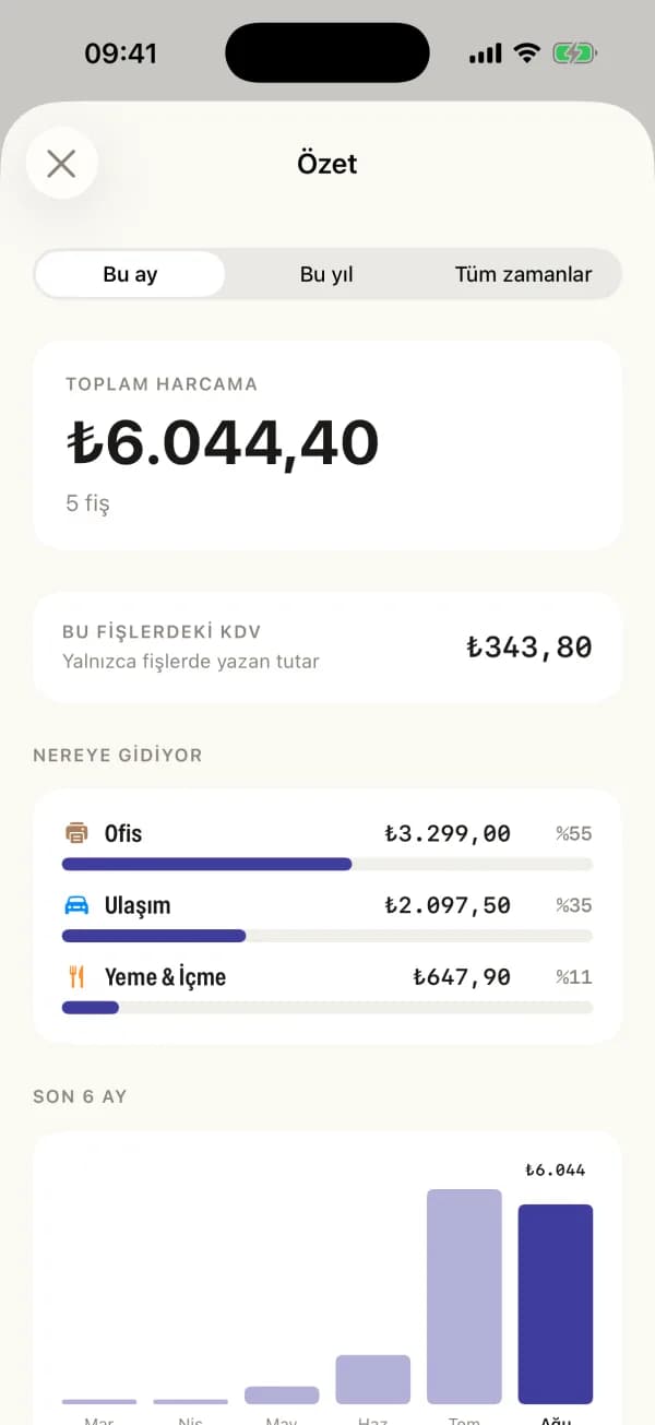 Özet paranın nereye gittiğini, fişlerdeki vergiyi ve altı ayın karşılaştırmasını gösterir.
